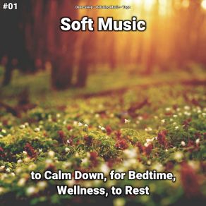 Download track Calm Background Music To Help You Sleep All Night Yoga