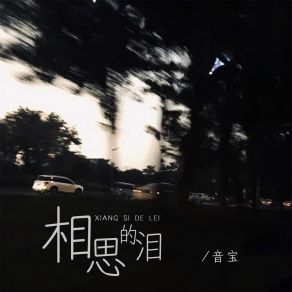 Download track 相思的泪 (伴奏) 音宝