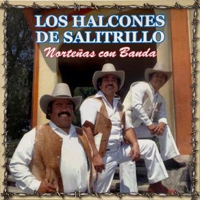 Download track El Fayuquero Los Halcones De Salitrillo