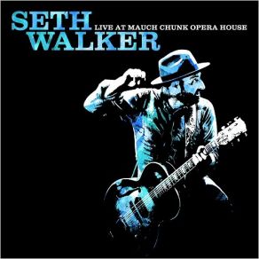 Download track In The Meantime (Live) Seth Walker