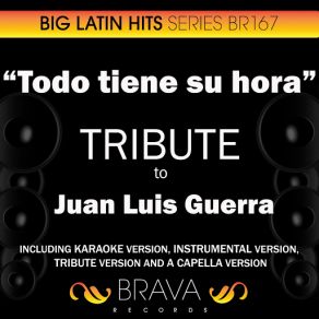 Download track Todo Tiene Su Hora (In The Style Of Juan Luis Guerra) [Acapella Version] Brava HitMakers