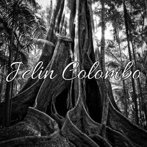 Download track Treating Rock Jelin Colombo