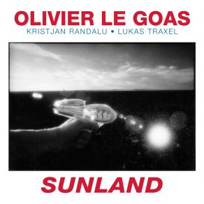 Download track Survivor's Song Kristjan Randalu, Olivier Le Goas, Lukas Traxel, Olivier Le Goa