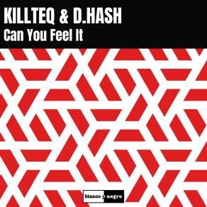 Download track Can You Feel It D. Hash