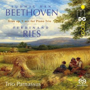 Download track Trio In D Major, Op. 9 No. 2: III. Menuetto - Allegretto (Arr. By Ferdinand Ries) Trio Parnassus