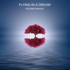 Download track Flying In A Dream Telemecanique