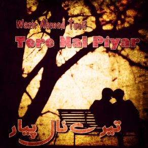 Download track Patlay Tan Tay Wazir Ahmad Tooti