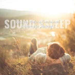 Download track Relaxing Natural Environment Ambience For Sleeping, Pt. 6 Elijah Wagner