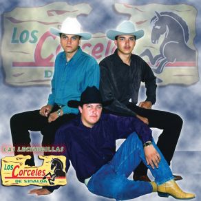 Download track Dos Botellas De Mezcal (Las Lechuguillas) Los Corceles De Sinaloa