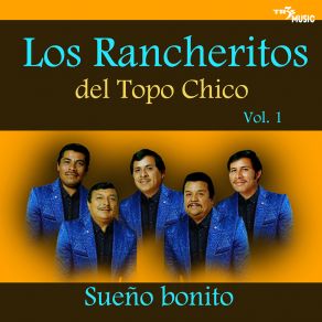 Download track Sueño Bonito Los Rancheritos De Topochico