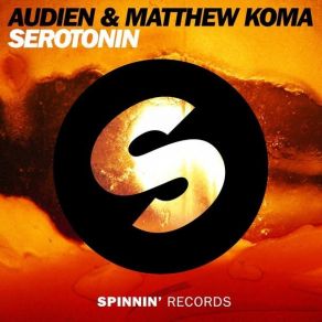 Download track Serotonin (Original Mix) Matthew Koma, Audien