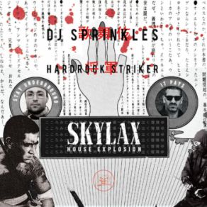 Download track What Did You Say DJ Sprinkles, Hardrock StrikerCocept E25