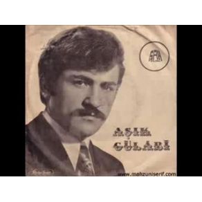 Download track Toprak Bekler Anam Gibi Aşık Gülabi