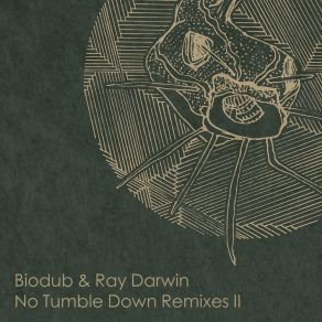 Download track No Tumble Down (Jazz Plays Softly Love Is Strong Redesign) BiodubRay Darwin