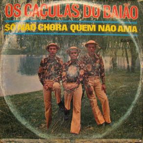 Download track Saudades Comigo Os Caçulas Do Baião