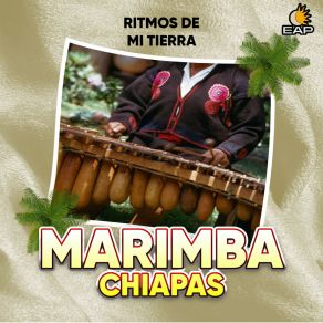 Download track La Chirimia Marimba De Chiapas