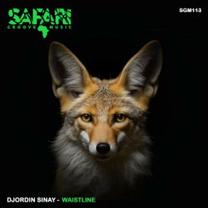 Download track Waistline (Original Mix) Djordin Sinay