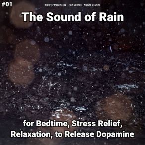 Download track Rain Ambience For Happiness Nature Sounds