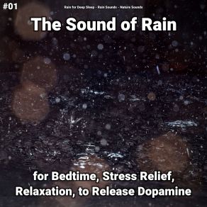 Download track Rain Sounds For Your Body Nature Sounds