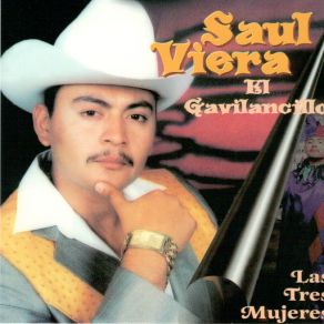 Download track Me Voy Nomas No Llores Saul El Gavilancillo Viera