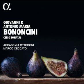 Download track 23. Sinfonia Per Camera In C Minor I. Cantabile Accademia Ottoboni
