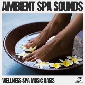 Download track Tranquil Zephyrs Wellness Spa Music Oasis