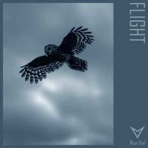 Download track Flight (Extended Mix) Wan Owl