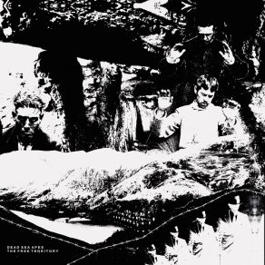 Download track Stateless Dead Sea Apes