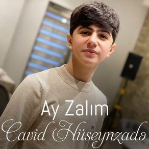 Download track Bitdi Bu Eşq Nağılı Cavid Hüseynzadə