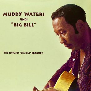 Download track Lonesome Road Blues (Remastered) Muddy Waters