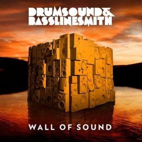 Download track Wall Of Sound (Continuous Mix) Drumsound, Simon Smith