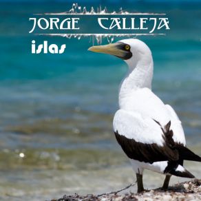 Download track Diving: Inmersion Jorge Calleja