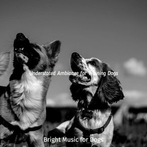 Download track Paradise Like Separation Anxiety Bright Music For Dogs