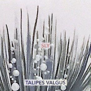 Download track Sly Talipes Valgus