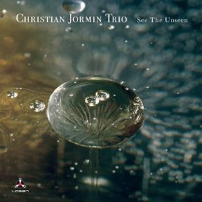 Download track See The Unseen Christian Jormin Trio