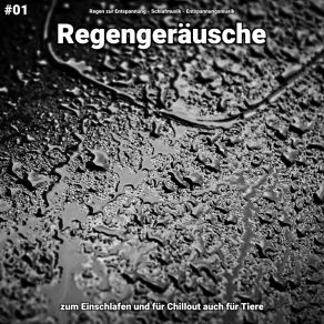 Download track Regengeräusche, Pt. 86 Entspannungsmusik