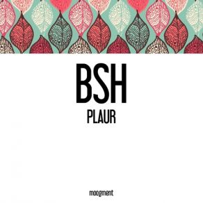 Download track Plaur Bsh