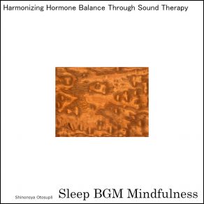 Download track Embracing The Moon's Silent Serenade Sleep BGM Mindfulness