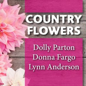 Download track I Know A Heartache When I See One Dolly Parton, Lynn Anderson, Donna Fargo