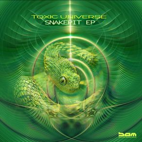 Download track Hypnotizer (Original Mix) Toxic UniversePhil Good