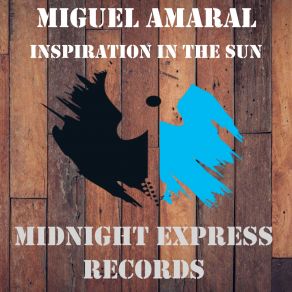 Download track Stop The Hate Miguel Amaral