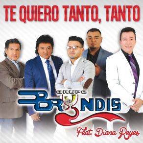 Download track Te Quiero Tanto, Tanto (Diana Reyes) Grupo Bryndis