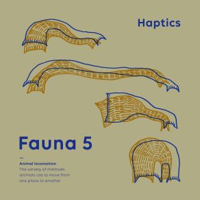 Download track Dancing Birds Fauna 5