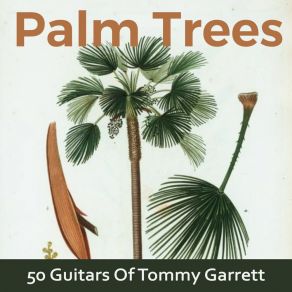 Download track Send Me The Pillow You Dream On The 50 Guitars Of Tommy Garrett