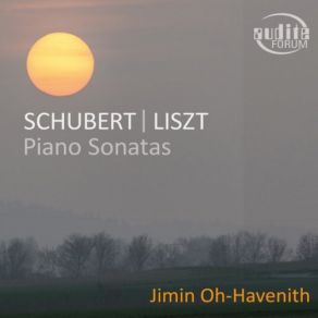 Download track Piano Sonata No. 18 In G Major, D. 894 Fantasia IV. Allegretto Jimin Oh-Havenith