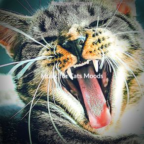 Download track Inspired (Music) Music For Cats MoodsThe Music