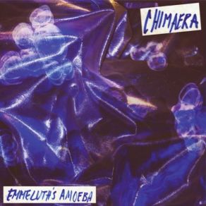 Download track Outro Emmeluth's Amoeba