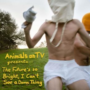 Download track Shoe-In Animals On TV