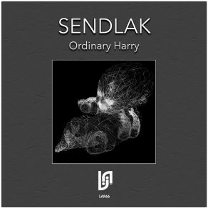 Download track Ordinary Harry (Duo K Remix) SendlakDuo K