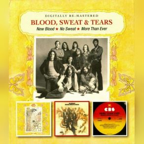 Download track My Old Lady Blood, Sweat And Tears